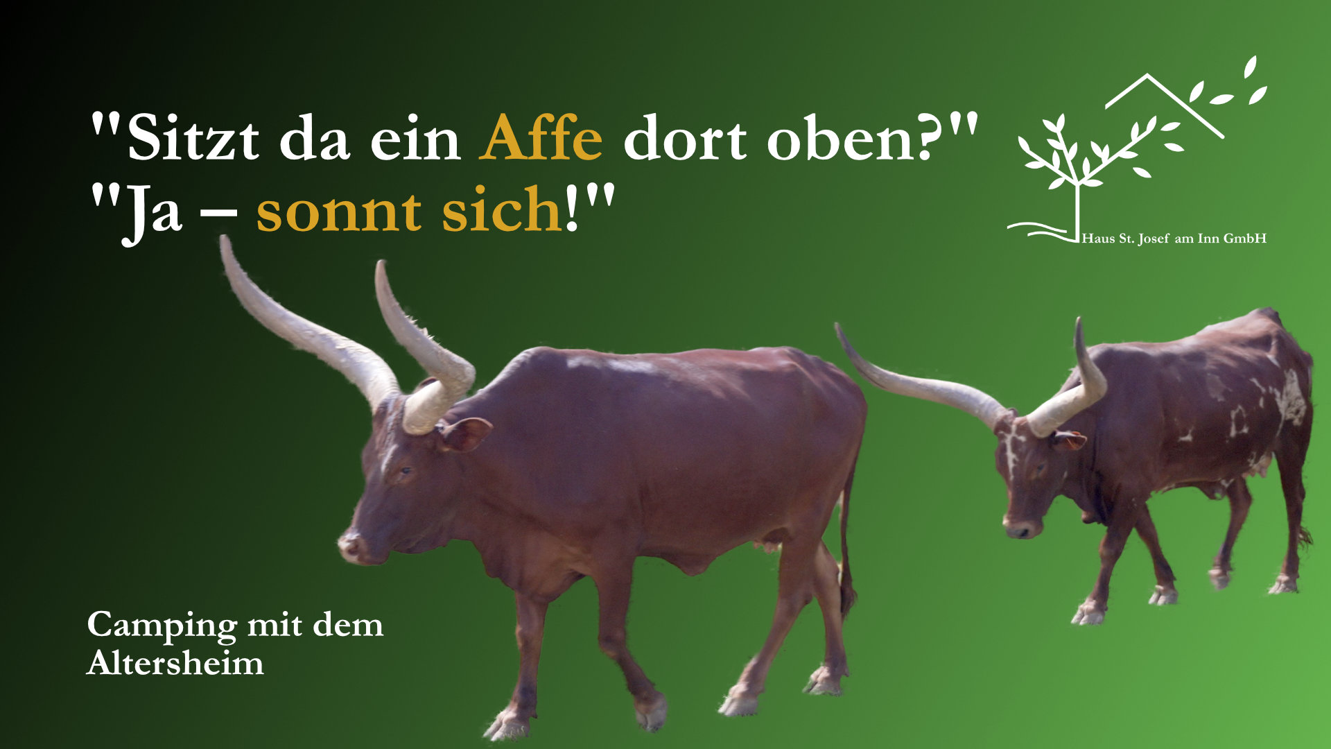 Employer-Branding-Film "Camping mit dem Altersheim" (23-teilige Serie) | Safari